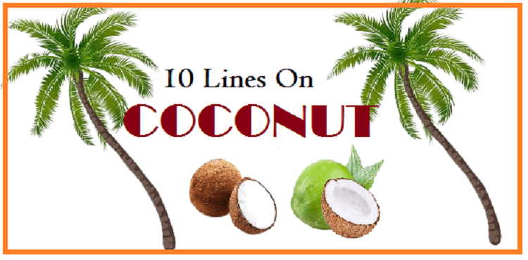 10 Lines Essay on Coconut in Hindi